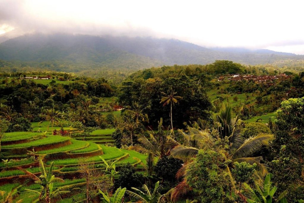 Cloud-covered mountain peak